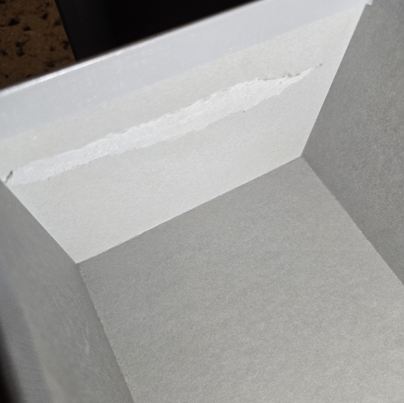 Balenciaga Designer Shoe Box Gray 13x7x5 Storage Replacement with Lid - Picture 6 of 16